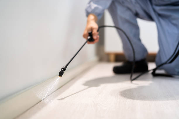 Licensed Pest Control service in Eupora, MS - Show Me Pest Control
