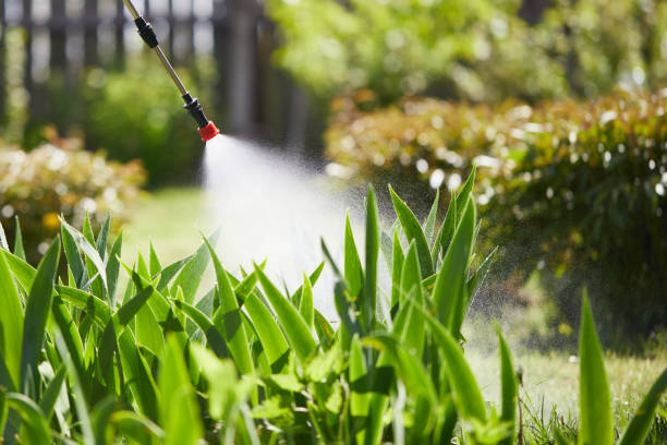 24/7 Emergency Wasp Removal experts in Eupora, MS