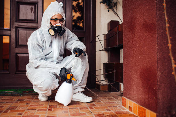 Reliable Wasp Removal contractor in Eupora, MS by Show Me Pest Control