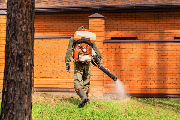 Top rated local Wasp Removal specialists in Eupora, MS